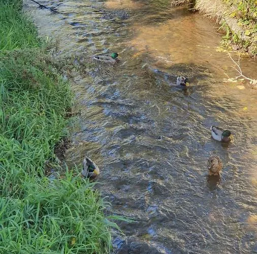 Guest house Nad Potokiem *