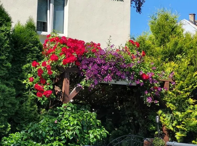 Nad Potokiem Guest house Kudowa Zdroj